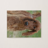 Puzzle Poseur irlandais adorable (Horizontal)