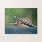 Puzzle Posing Praying Mantis (Horizontal)