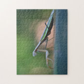 Puzzle Posing Praying Mantis (Vertical)