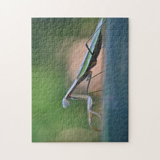 Puzzle Posing Praying Mantis (Vertical)