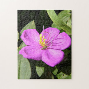 Puzzle Poster de Plumeria Hawaii rose Faux Canvas Imprime