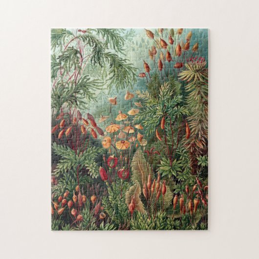Puzzle Poster vintage Ernst Haeckel Moss (Vertical)