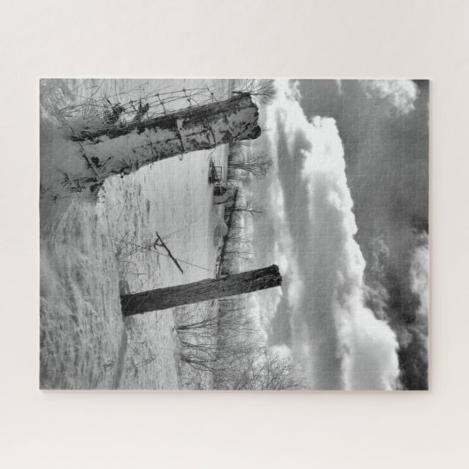 Puzzle Posts in the Snow (Horizontal)