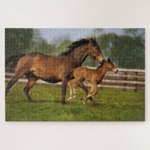 Puzzle Poulain et pouliche alezan Pur Sang