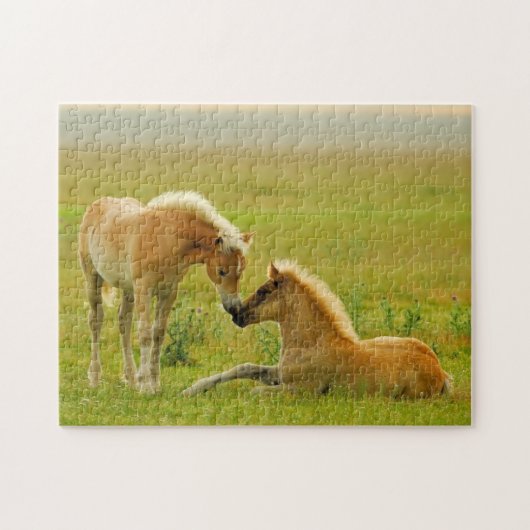 Puzzle Poulains de cheval (Horizontal)