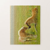 Puzzle Poulains de cheval (Vertical)