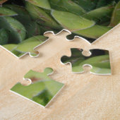 Puzzle Poules et poules Plantes succulents (Côté)