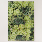 Puzzle Poules et poules Plantes succulents (Vertical)
