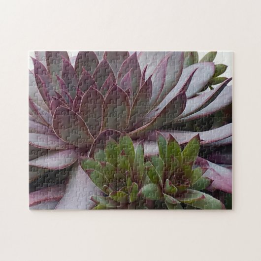 Puzzle Poules et pousses (Horizontal)