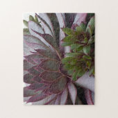 Puzzle Poules et pousses (Vertical)