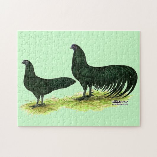 Puzzle Poules Sumatra noires (Horizontal)