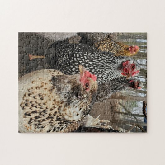 Puzzle Poulet (Horizontal)