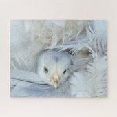 Puzzle poulet, animal, oiseau, ferme, masque, mignonne, a (Horizontal)