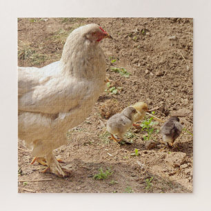Puzzle poulet, animal, poussin, oiseau, ferme, mignon, pu