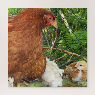 Puzzle poulet, animal, poussin, oiseau, ferme, mignon, pu