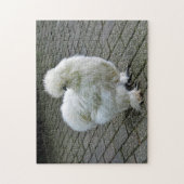 Puzzle Poulet blanc Silkie Photo (Vertical)