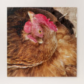 PUZZLE POULET CUIT (Horizontal)