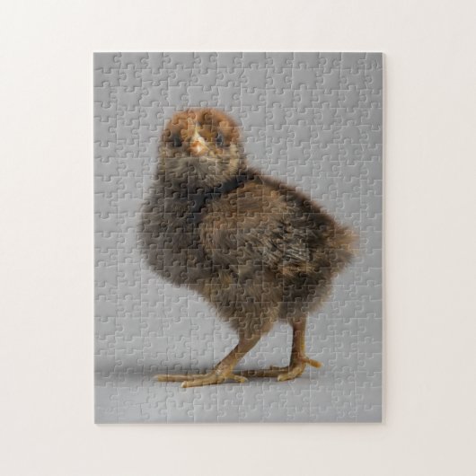 Puzzle Poulet de bébé (Vertical)