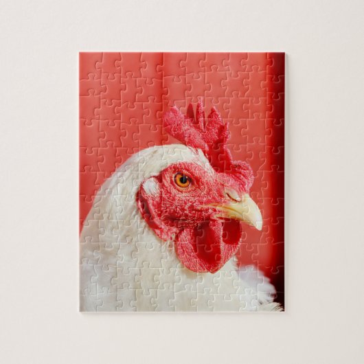 Puzzle Poulet de ferme (Vertical)