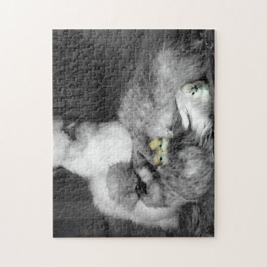 Puzzle Poulet noir et blanc en soie avec poulets jaunes (Vertical)