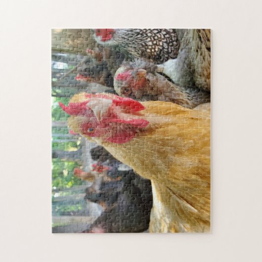 Puzzle Poulets (Vertical)