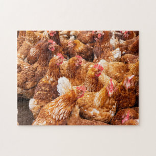 Puzzle Poulets
