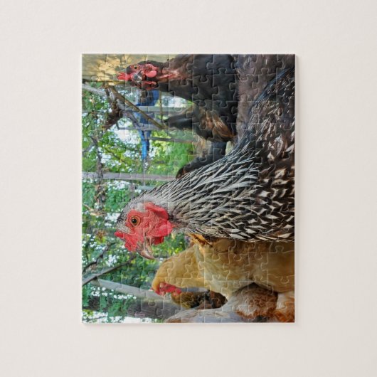 Puzzle Poulets (Vertical)