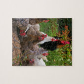 Puzzle Poulets de basse cour et casse-tête drôles de coq (Horizontal)