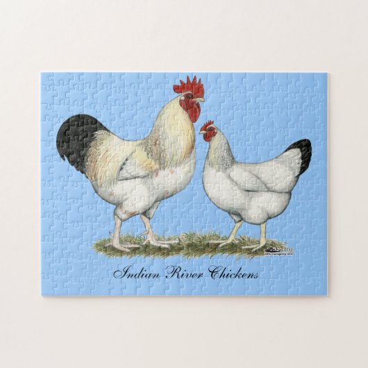 Puzzle Poulets de la rivière Indian (Horizontal)