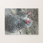 Puzzle Poulets de Plymouth Rock dans la basse cour (Horizontal)