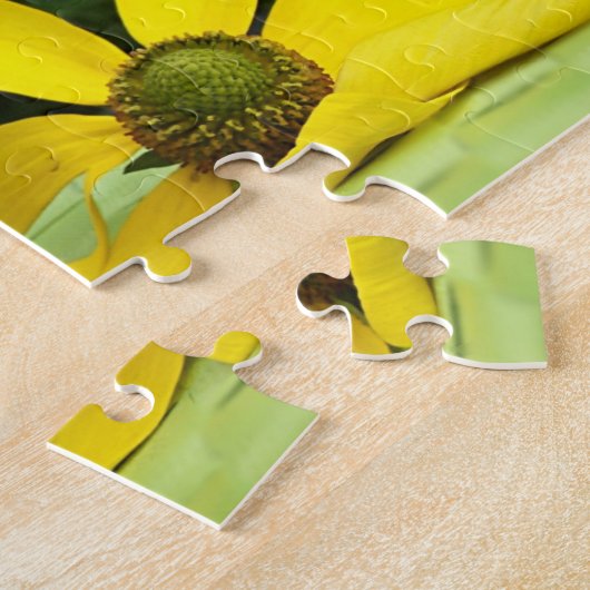 Puzzle poulets de poulet (Côté)