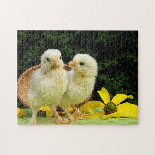 Puzzle poulets de poulet (Horizontal)