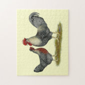 Puzzle Poulets Legbar à la crème (Vertical)