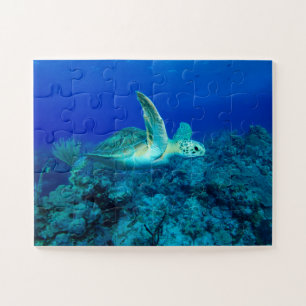 Puzzle pour enfants de tortues marines