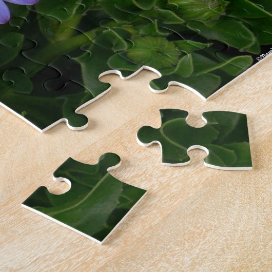 Puzzle pourpre de marguerites (Côté)