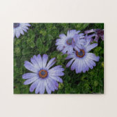 Puzzle pourpre de marguerites (Horizontal)