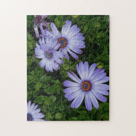Puzzle pourpre de marguerites (Vertical)