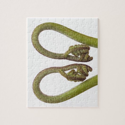 Puzzle Pousses 2 de fougère (Vertical)