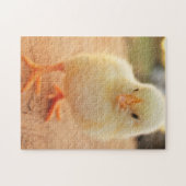 Puzzle Poussins de bébé (Horizontal)