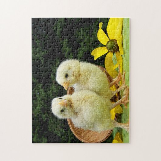 Puzzle poussins de poulet (Vertical)