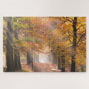 Puzzle Poutres de soleil dans une forêt d'automne