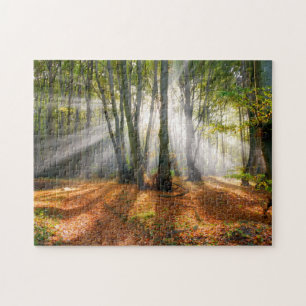 Puzzle Poutres de soleil dans une forêt de hêtres brumeux