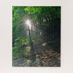 Puzzle Poutres de soleil matinales à travers la forêt du