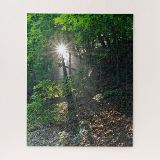 Puzzle Poutres de soleil matinales à travers la forêt du (Vertical)