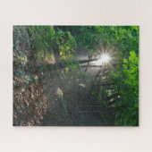 Puzzle Poutres de soleil matinales à travers la forêt du (Horizontal)
