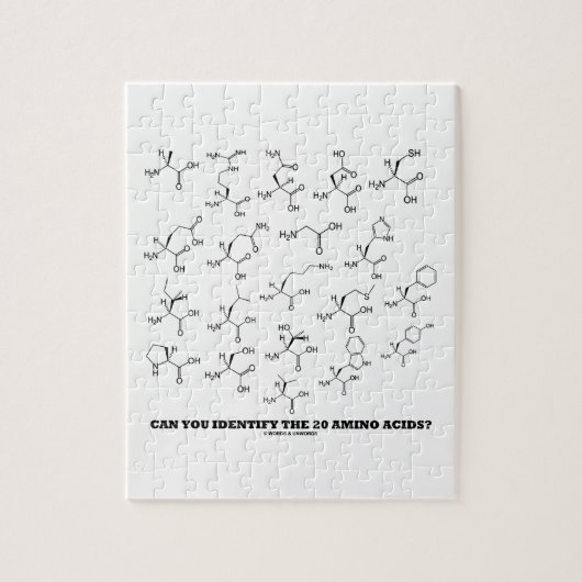 Puzzle Pouvez-Vous Identifier Les 20 Acides Aminés ? (Chi (Vertical)
