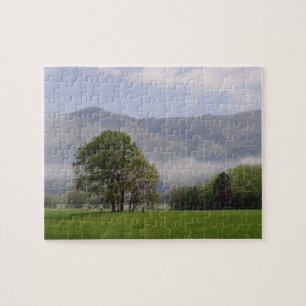 Puzzle Prairie brumeuse et Rich Mountain, Cades Cove,