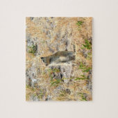 Puzzle Prairie Dog in Yosemite (Vertical)