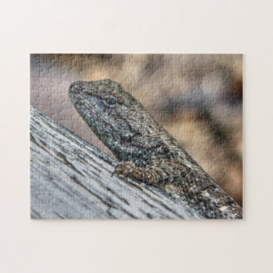 Puzzle Prairie Lizard