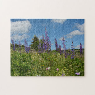 Puzzle Prairies avec lupins -